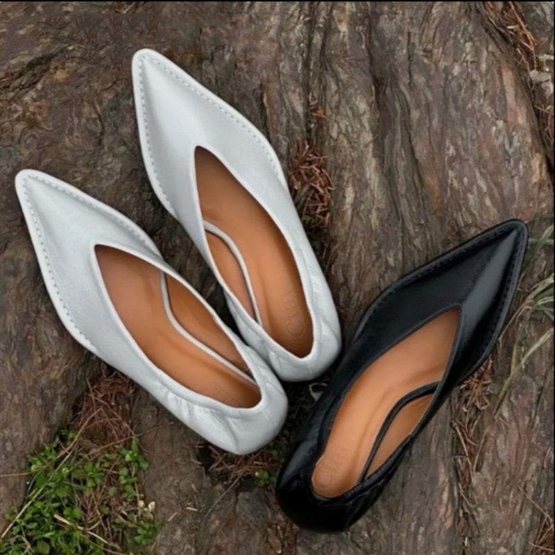 Women'S Fashion Spring 2025 - 2025 Neue spitze Zehen-Einzelschuhe für Damen,
